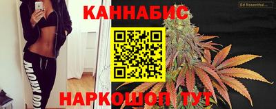 сатива Малгобек