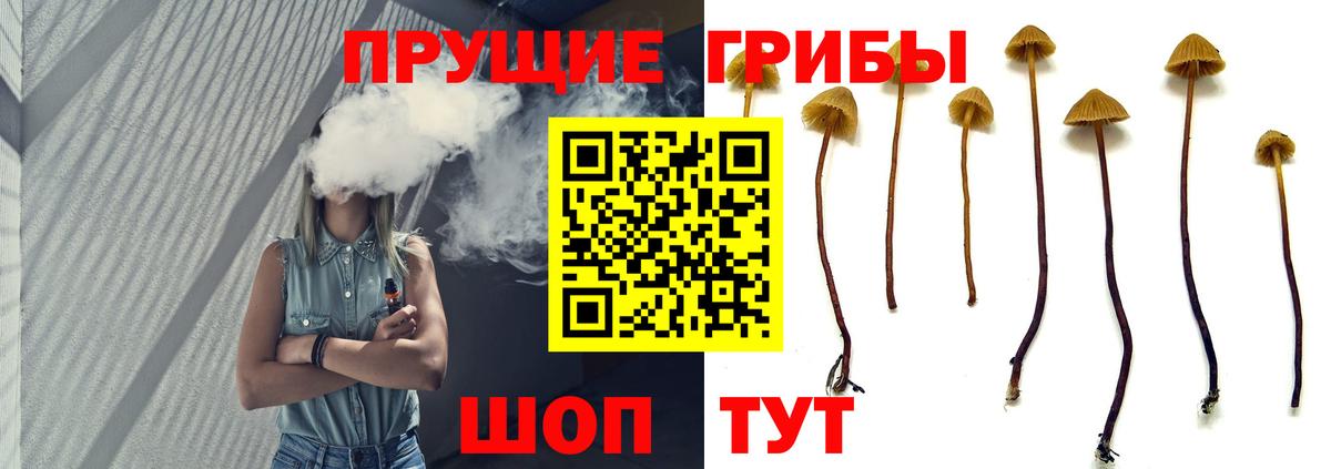 Галлюциногенные грибы Magic Shrooms Стерлитамак
